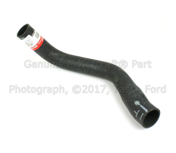 FOZZ8286A - Cooling System: Lower Hose for Ford: Mustang Image