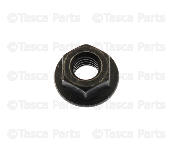 1225N6011 - Electrical: Battery Tray Nut for Nissan: Altima, Armada, Cube, Frontier, Kicks, Kicks Play, LEAF, Maxima, Murano, NV1500, NV200, NV2500, NV3500, Pathfinder, Qashqai, Quest, Rogue, Rogue Select, Rogue Sport, Sentra, TITAN, TITAN XD, Versa, Z Image