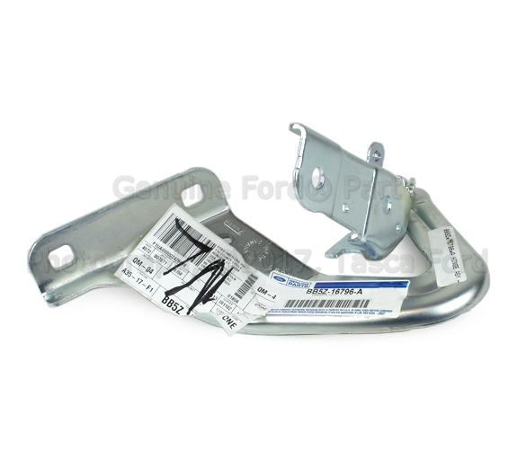 BB5Z16796A - Body: Hinge for Ford Image