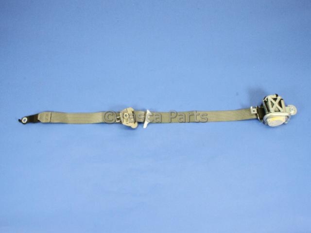 5JY241D5AD - : Outer Belt Assembly - Passenger Side (RH) for Dodge: Ram 1500 Image