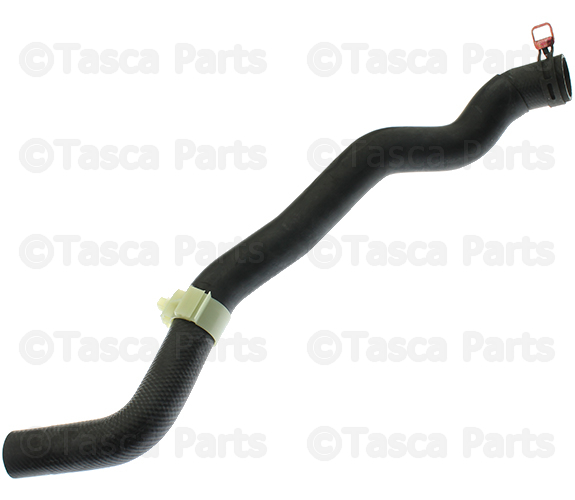 CAY11518Y - Cooling System: Lower Hose for Mazda Image