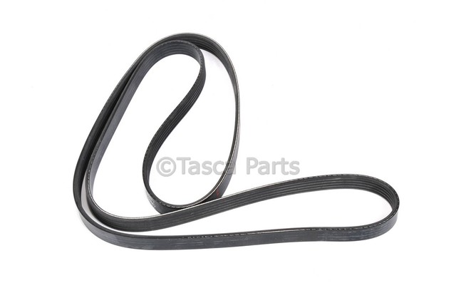 12638808 - : V-Ribbed Serpentine Belt for GM Image