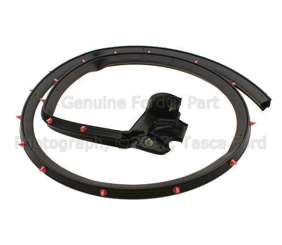 7R3Z6320531B - Body: Lower Weather-strip for Ford: Mustang Image