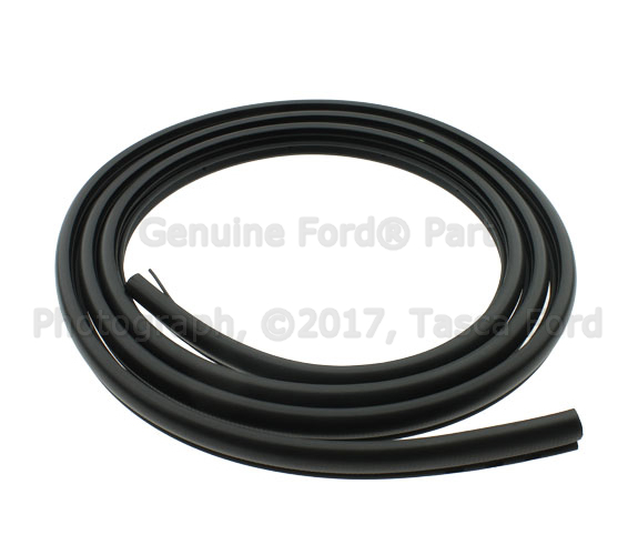 4C2Z1520709AB - Body: Weather-strip On Body for Ford: E-150, E-150 Club Wagon, E-250, E-350 Club Wagon, E-350 Super Duty, E-450 Super Duty Image