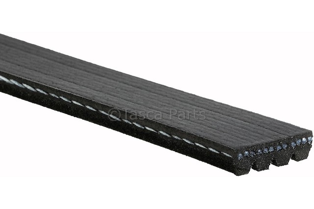 12576447 - Cooling System: AC Belt for Cadillac: Escalade, Escalade ESV, Escalade EXT | Chevrolet: Avalanche, Avalanche 1500, Avalanche 2500, Express 1500, Express 2500, Express 3500, Silverado 1500, Silverado 1500 Classic, Silverado 1500 HD, Silverado 1500 HD Classic, Silverado 2500, Silverado 2500 HD, Silverado 2500 HD Classic, Silverado 3500, Silverado 3500 Classic, Silverado 3500 HD, Suburban 1500, Suburban 2500, Tahoe | GMC: Savana 1500, Savana 2500, Savana 3500, Sierra 1500, Sierra 1500 Classic, Sierra 1500 HD, Sierra 1500 HD Classic, Sierra 2500, Sierra 2500 HD, Sierra 2500 HD Classic, Sierra 3500, Sierra 3500 Classic, Sierra 3500 HD, Yukon, Yukon XL 1500, Yukon XL 2500 | Hummer: H2 Image