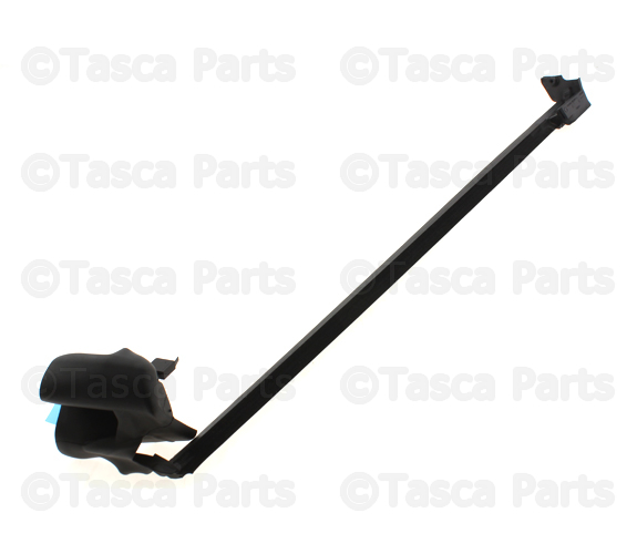 31256639 - : Weatherstrip - Driver's Side (LH) for Volvo Image