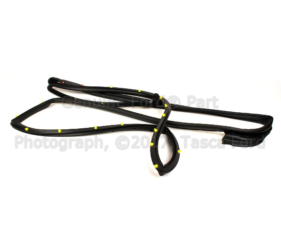 9E5Z5425324A - Body: Door Weather-strip for Ford: Fusion | Lincoln: MKZ | Mercury: Milan Image