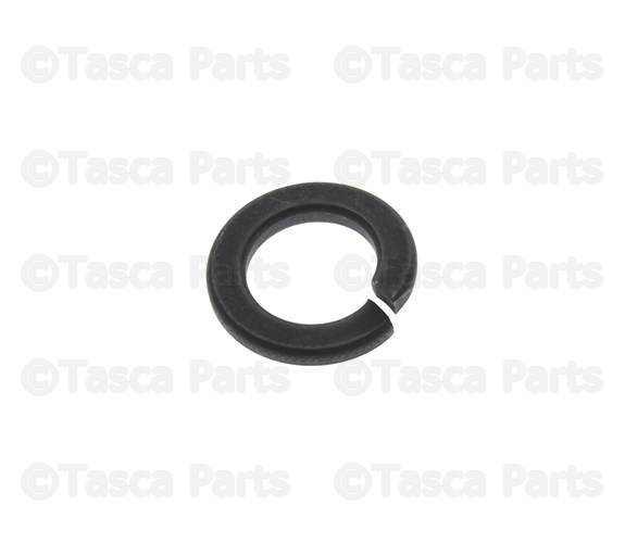 6036451AA - : Lock Washer for Mopar Image