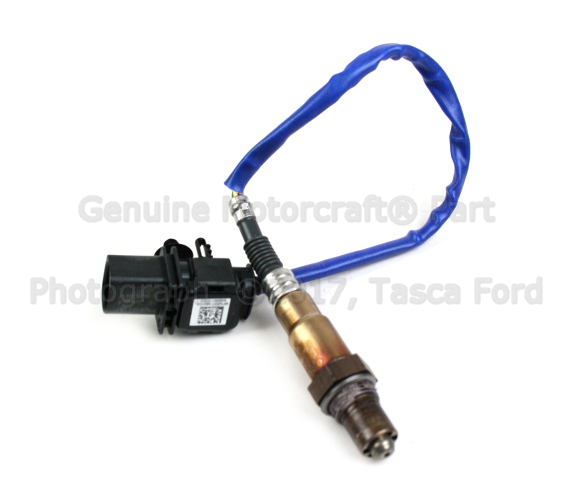 hooo…ページ Oxygen Sensor Hego | FordUS