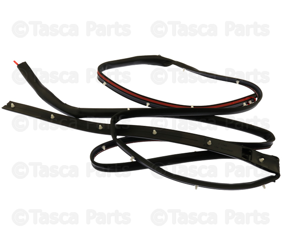 808287S000 - : Side Seal - Passenger Side (RH) for Nissan Image