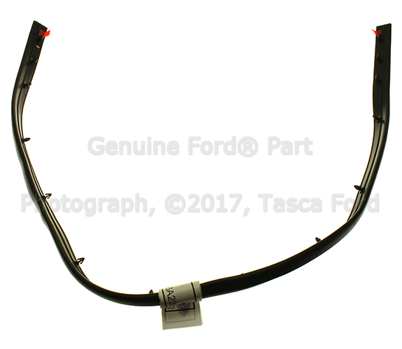 DT1Z16A238A - Body: Front Seal for Ford Image