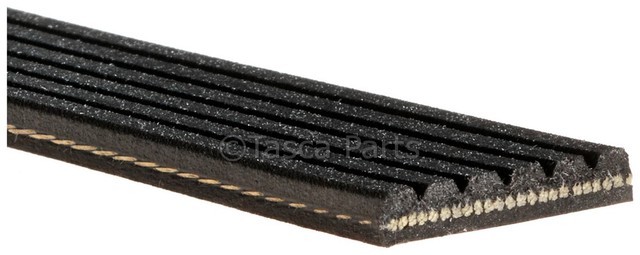 12645694 - : V-Ribbed Serpentine Belt for GM Image