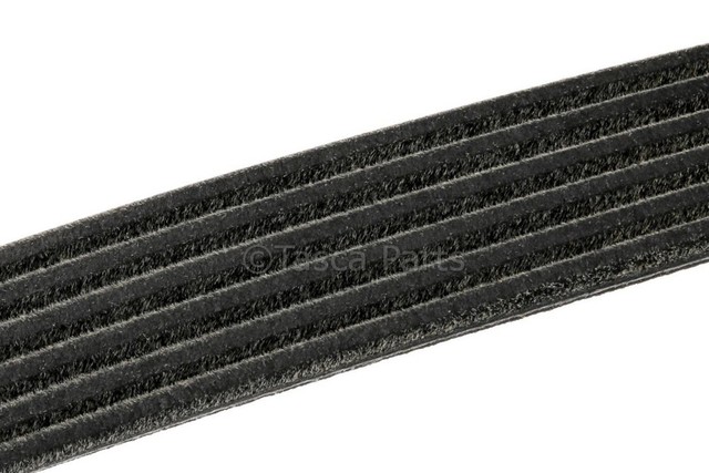 88984194 - Cooling System: Belt for Chevrolet: S10 | GMC: S15, Sonoma Image