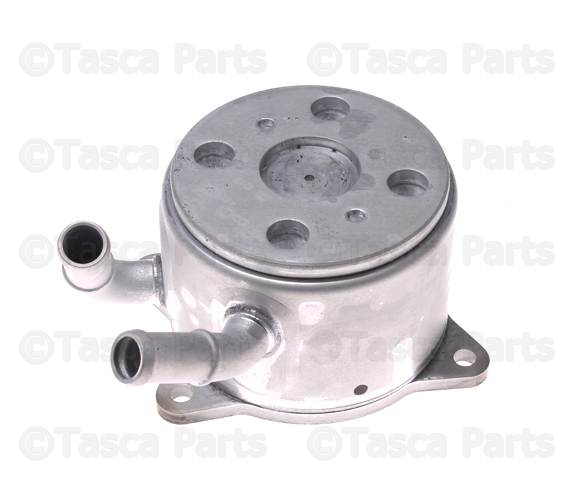 とおる とおる アディダス オリジナルス ZX トルション (メンズスニーカー