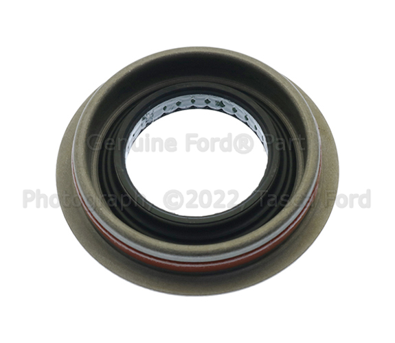 The BONEZ C.C.Sベルト オリーブ The BONEZ C.C.Sベルト オリーブ The BONEZ C.C.Sベルト オリーブ