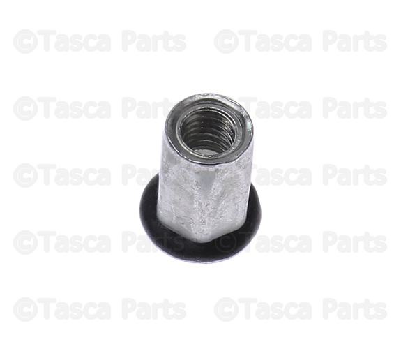 6507161AA - Interior Trim: Nut for Chrysler: 200, 300, Pacifica | Dodge: Avenger, Charger, Dakota, Durango, Ram 1500, Ram 2500, Ram 3500 | Fiat: 500 | Ram: 1500, 1500 Classic, 2500, 3500, Dakota Image