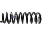 FL3Z5310K - Suspension: Coil Spring for Ford: F-150 Image