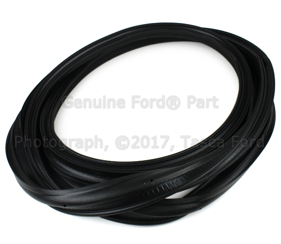 3W1Z5443720AA - Body: Weatherstrip for Ford Image