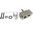 GV6Z19849A - HVAC: Expansion Valve for Ford Image