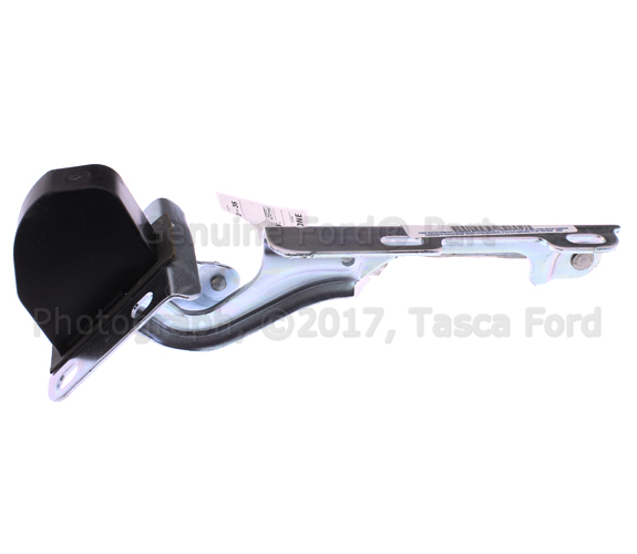 F5TZ16797A - Body: Hinge for Ford: Explorer, Explorer Sport, Explorer Sport Trac | Mercury: Mountaineer Image