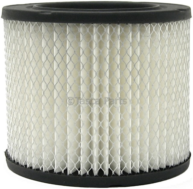 25043119 - Engine: Element for Buick: Century, Regal, Skyhawk, Skylark | Cadillac: Cimarron | Chevrolet: Cavalier, Celebrity, Citation II, Lumina | Oldsmobile: Cutlass Ciera, Cutlass Cruiser, Cutlass Supreme, Firenza | Pontiac: 6000, Grand Am, Grand Prix, Sunbird Image