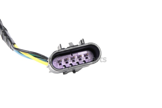 15930264 - Electrical: Socket &amp; Wire for GM Image