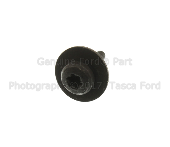 W715953S307 - Body: Cowl Grille Screw for Ford Image