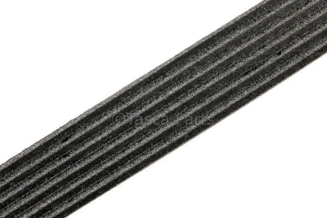 19244955 - Maintenance &amp; Lubrication: Serpentine Belt for Cadillac: Escalade | Chevrolet: C1500, C2500, C3500, C3500HD, K1500 Pickup, K2500 Pickup, K3500 Pickup, Suburban C1500, Suburban C2500, Suburban K1500, Suburban K2500, Tahoe | GMC: C1500 Pickup, C2500 Pickup, C3500 Pickup, C3500HD, K1500 Pickup, K2500 Pickup, K3500 Pickup, Suburban C1500, Suburban C2500, Suburban K1500, Suburban K2500, Yukon Image