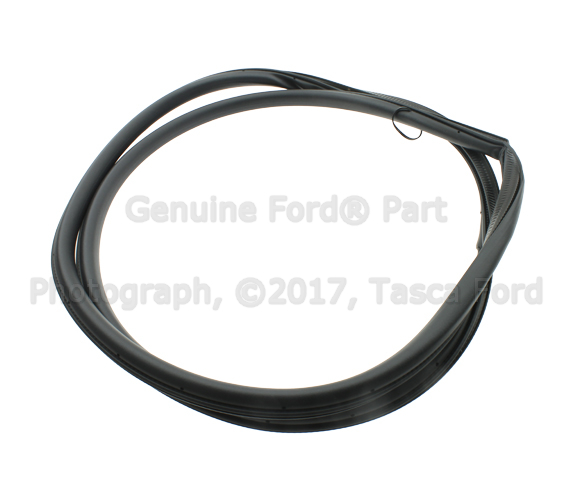 FT4Z5820708B - Body: Weather-strip On Body for Ford: Edge Image
