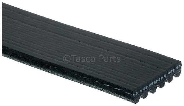 19355279 - Cooling System: Serpentine Belt for GM Image