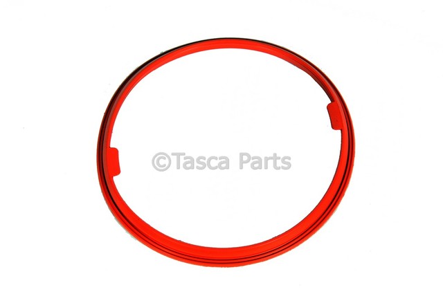96554008 - Fuel System: Lower Seal for Chevrolet: Aveo, Aveo5 | Pontiac: G3 Image