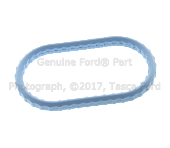 YF1Z9H486AB - Fuel System: Manifold Gasket for Ford Image