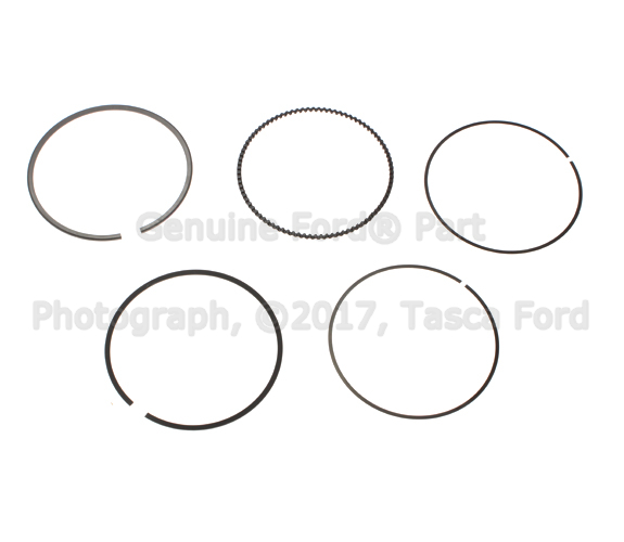 BL3Z6148C - Engine: Engine Piston Ring for Ford: Expedition, F-150, Flex, Police Interceptor Sedan, Taurus, Transit-150, Transit-250, Transit-350, Transit-350 HD | Lincoln: MKS, MKT, Navigator Image