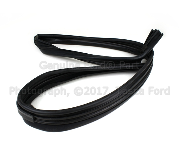 8S4Z5421596C - Body: Run Weather-strip for Ford: Focus Image