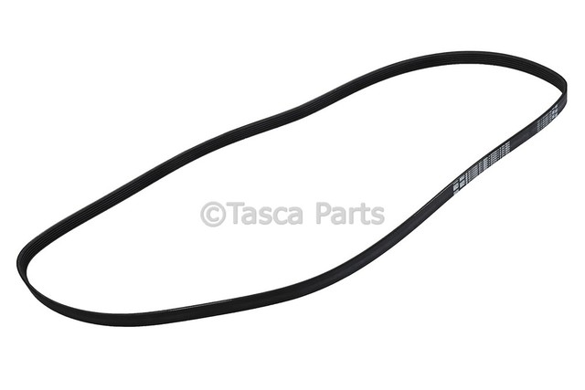 19172682 - Cooling System: Belt for Buick: Park Avenue, Riviera | Oldsmobile: 88, LSS, Regency | Pontiac: Bonneville Image