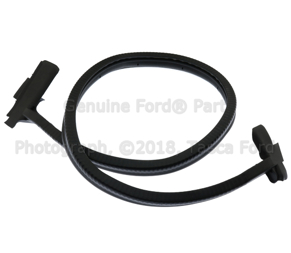 EK4Z1525325G - Body: Door Seal for Ford Image