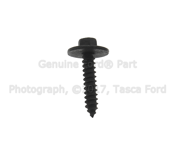 W705392S307 - Body: Mud Shield Screw for Ford: F-150, Police Interceptor Sedan, Police Interceptor Utility, Special Service Police Sedan Image