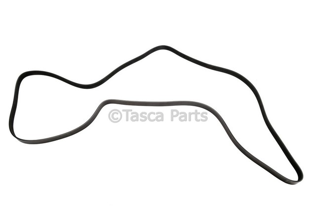 12577771 - : V-Ribbed Serpentine Belt for GM Image