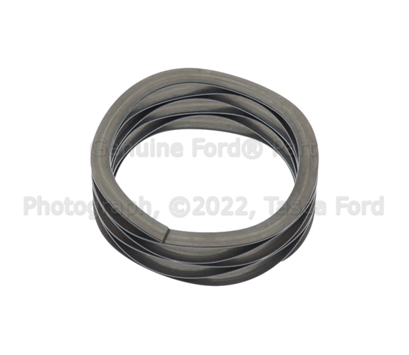 F57Z7G159A - : Spring Wave Forward Clutch for Ford Image