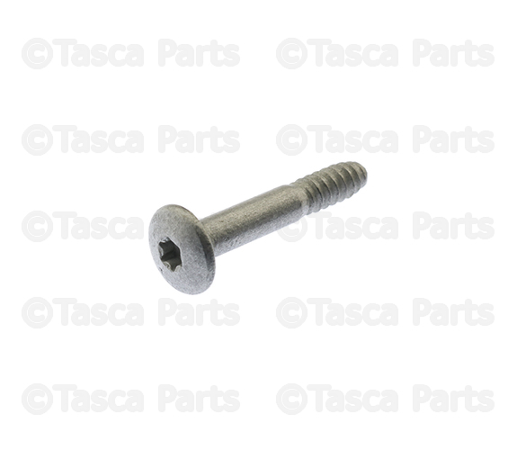 6036651AA - Doors and Related Parts: Tapping Screw for Chrysler: 300, 300M, Concorde, PT Cruiser | Dodge: Challenger, Charger, Intrepid, Magnum, Neon, Ram 1500, Ram 2500, Ram 3500 | Jeep: Cherokee, Grand Cherokee, Liberty, Wrangler Image