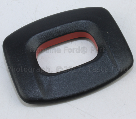 CV6Z54624A08BA - Body: Latch Bezel for Ford Image