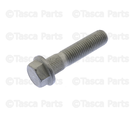 11547494 - Suspension: Strut Bolt for GM Image