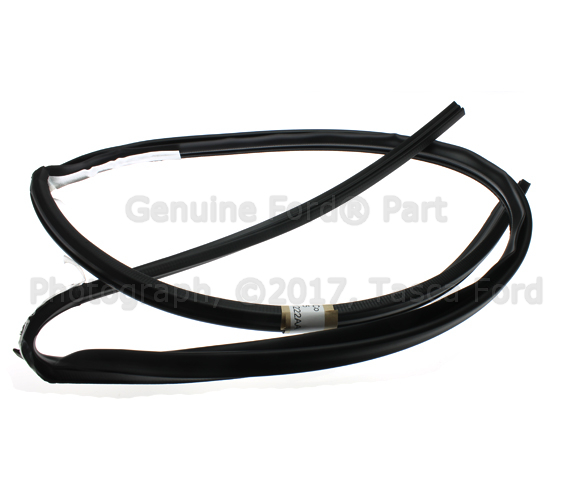 XW7Z5451822AA - Body: Weatherstrip for Ford: Crown Victoria | Mercury: Grand Marquis, Marauder Image