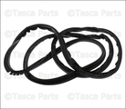 20929619 - Body: Outer Weather-strip for GM Image