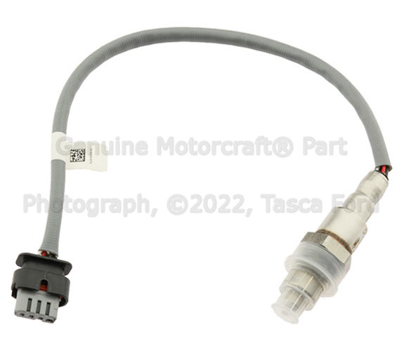 2017-2025 Ford Oxygen Sensor HL3Z-9G444-B | TascaParts.com