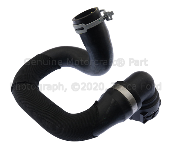 KM5164 - : Motorcraft™ Radiator Coolant Hose for Ford: Focus Image