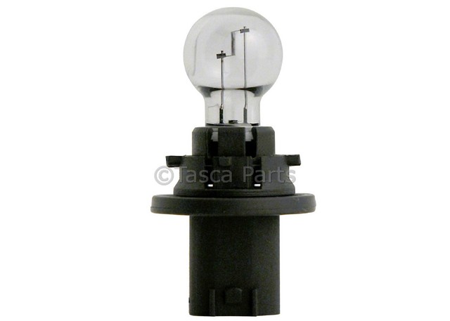 15938157 - : Back-Up Light Bulb for GMC: Acadia, Acadia Limited Image