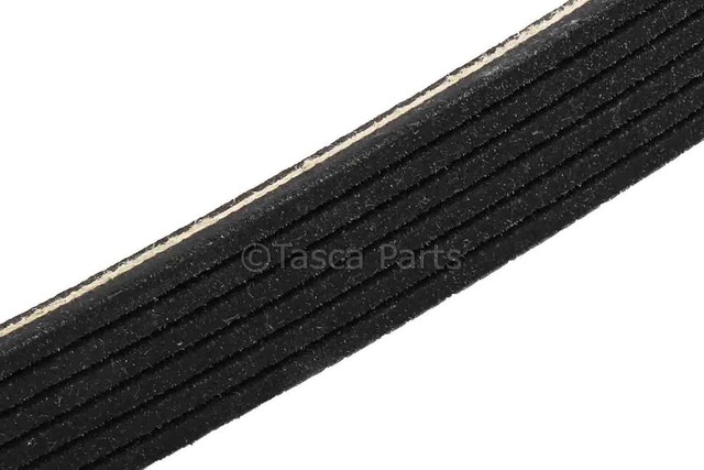 19355372 - : Serpentine Belt for GM Image