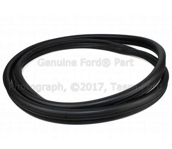 BL8Z7842084C - Body: Weatherstrip for Ford: Escape | Mercury: Mariner Image