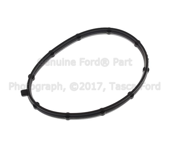 DL3Z2A572A - Body: Vacuum Pump Seal for Ford Image